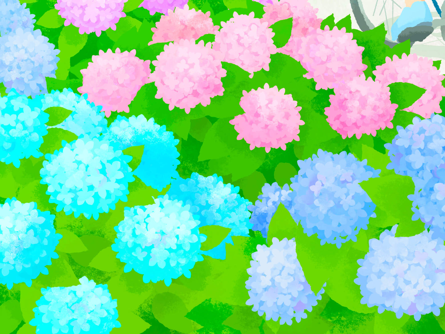 Hydrangea Pathway 繡球小路 - Poster