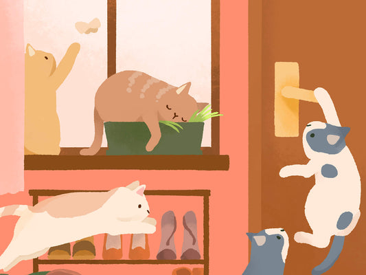 Full of Happiness 有貓就幸福 - Poster