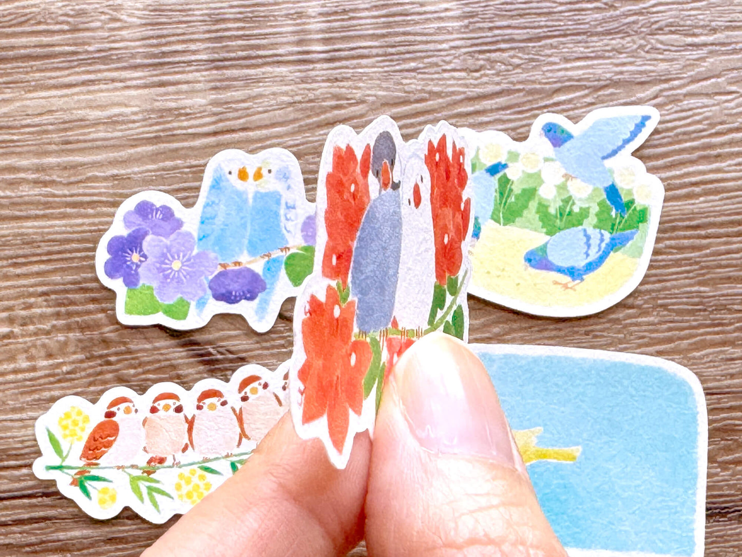 Lovely Bird’s Guide 可愛小鳥圖鑑 - Writable Sticker